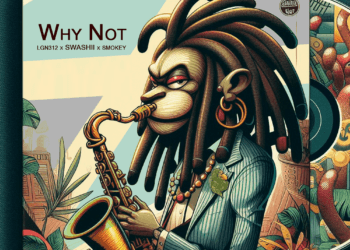 Why Not (Feat. Swashii & Smokey Irie Crew)